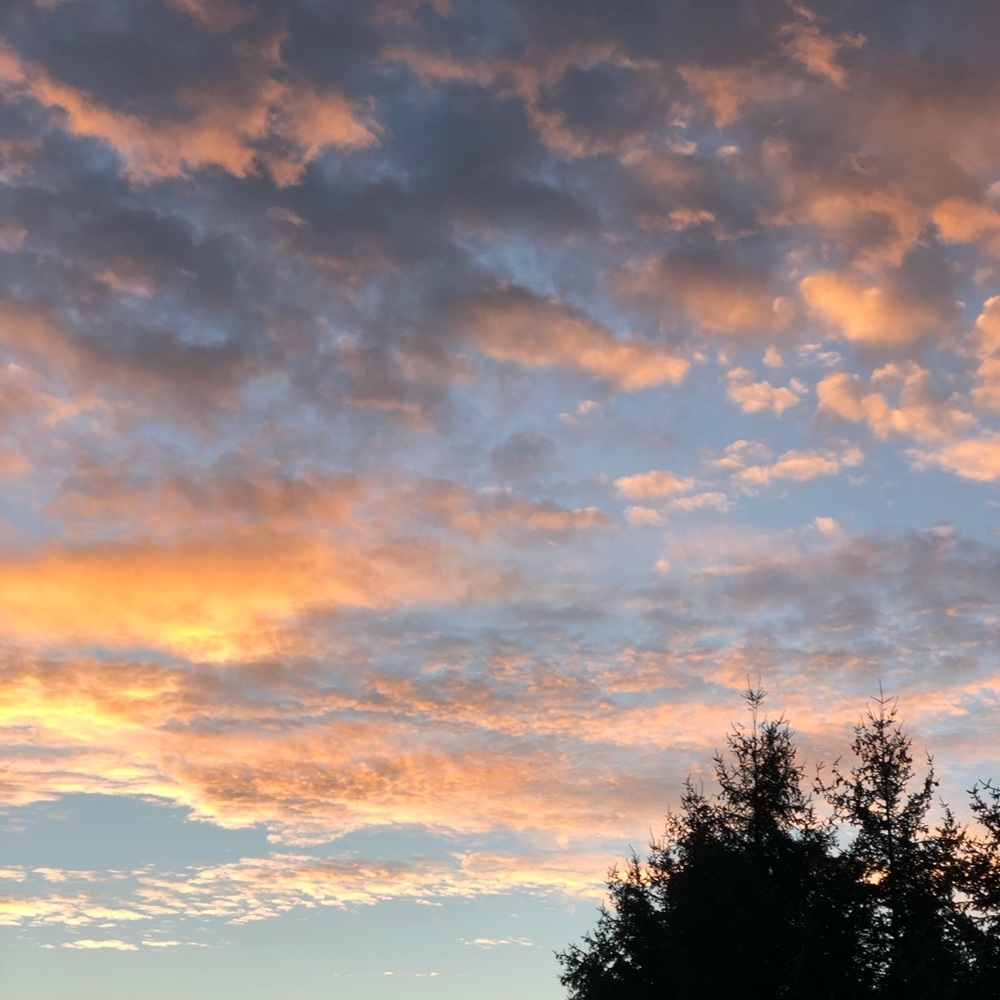 Meet your Posher, Lacey